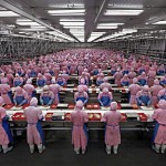 Chinese Labour market: The Electronics Industry