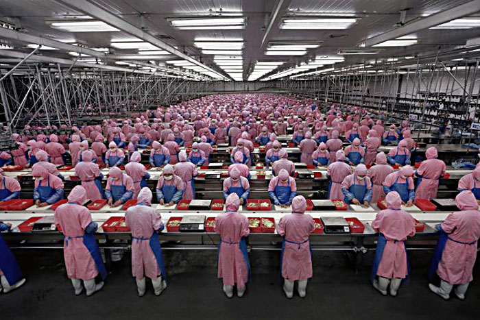 Chinese Labour market: The Electronics Industry