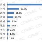 Market report in China: Famous B2C Websites in China