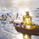 Branding: L’Occitane in China: do organic and natural products appeal to Chinese consumers?