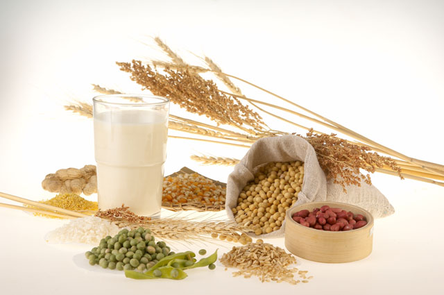 Cereals Market in China: a Rising Trend for Western Breakfast