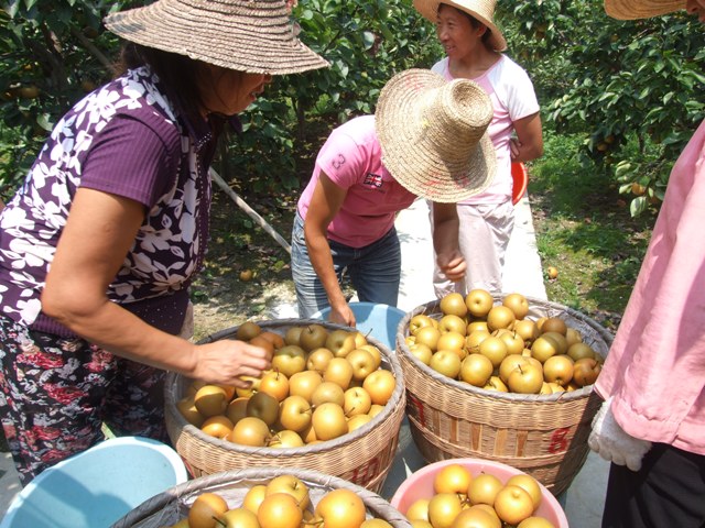 Food Innovation in China