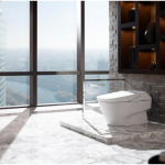 Hygiene and toilets market in China: A Global Industry Analysis