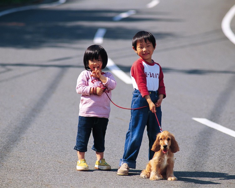 Pet Care Industry in China: A Huge Business for China’s Newfound Passion