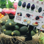 The Avocado in China: Can the Avocado Trend Take Off in the Chinese Market?