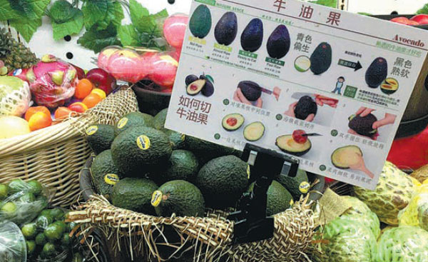 The Avocado in China: Can the Avocado Trend Take Off in the Chinese Market?