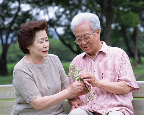 Why will the elderly be the greatest burden of Chinese society?