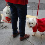 The Chinese Pet Market: Promising Sub-Segments