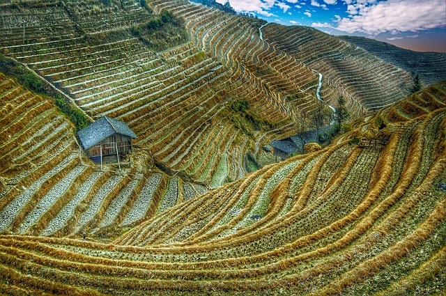 Moving towards sustainable agricultural commodities in China: PRC can lead the way for emerging markets | Daxue Consulting