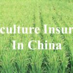 Stabilizing China’s agriculture: The agriculture insurance market in China