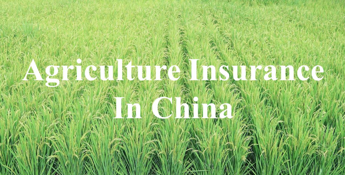 Stabilizing China’s agriculture: The agriculture insurance market in China